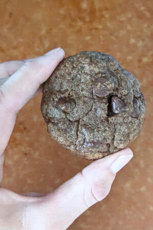 Double chocolate sourdough cookies